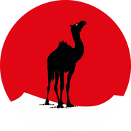 Black Camel Pictures