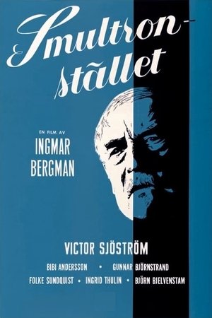 Wild Strawberries