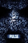 Pulz