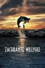 Zachráňte Willyho