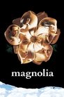 Magnólia