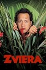 Zviera
