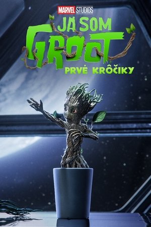 Prvé krôčiky
