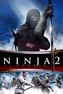 Ninja 2: Pomsta