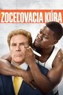 Zoceľovacia kúra