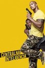 Centrálna inteligencia