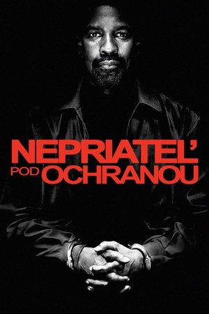 Nepriateľ pod ochranou