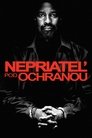 Nepriateľ pod ochranou