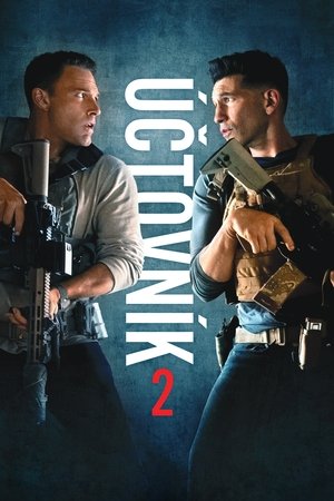 Účtovník 2
