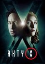 Akty X
