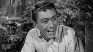 The Andy Griffith Show Epizóda 15