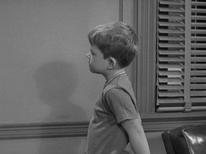 The Andy Griffith Show Epizóda 13