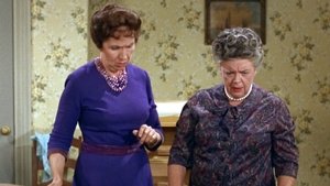 The Andy Griffith Show Epizóda 19