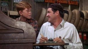 The Andy Griffith Show Epizóda 30