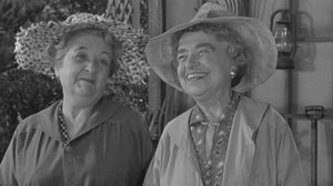The Andy Griffith Show Epizóda 17