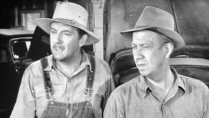 The Andy Griffith Show Epizóda 7