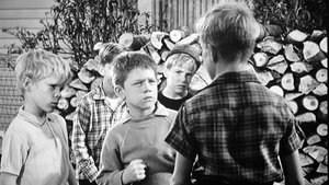 The Andy Griffith Show Epizóda 14