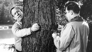 The Andy Griffith Show Epizóda 22
