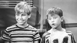 The Andy Griffith Show Epizóda 14