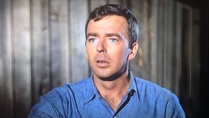 The Andy Griffith Show Epizóda 27
