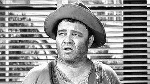 The Andy Griffith Show Epizóda 20