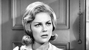 The Andy Griffith Show Epizóda 2