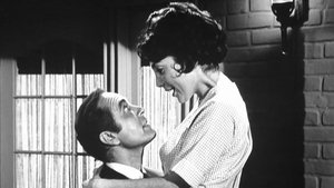 The Andy Griffith Show Epizóda 17
