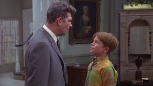 The Andy Griffith Show Epizóda 5