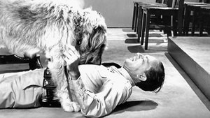 The Andy Griffith Show Epizóda 6