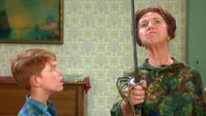 The Andy Griffith Show Epizóda 29