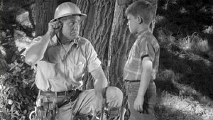 The Andy Griffith Show Epizóda 1