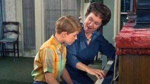 The Andy Griffith Show Epizóda 26