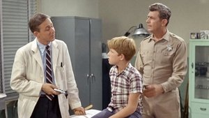 The Andy Griffith Show Epizóda 15