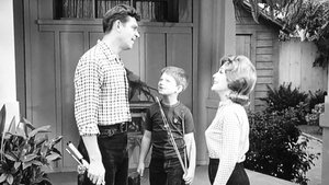 The Andy Griffith Show Epizóda 10