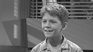 The Andy Griffith Show Epizóda 9