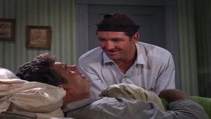 The Andy Griffith Show Epizóda 14