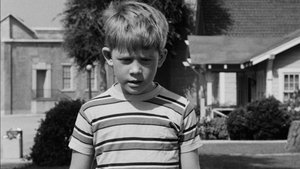 The Andy Griffith Show Epizóda 1