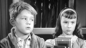 The Andy Griffith Show Epizóda 28