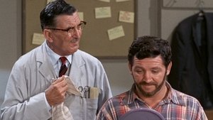 The Andy Griffith Show Epizóda 14