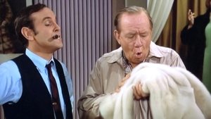 The Andy Griffith Show Epizóda 25