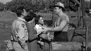 The Andy Griffith Show Epizóda 27