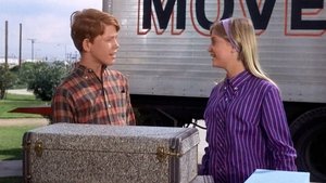 The Andy Griffith Show Epizóda 28