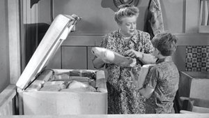 The Andy Griffith Show Epizóda 24