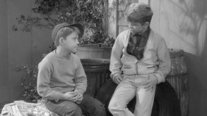 The Andy Griffith Show Epizóda 21