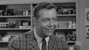 The Andy Griffith Show Epizóda 14