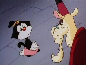 Animaniacs Epizóda 20