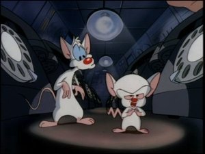 Animaniacs Epizóda 147