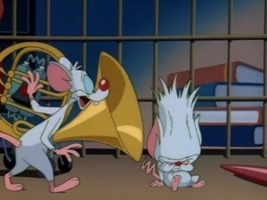 Animaniacs Epizóda 39