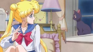 Sailor Moon Crystal Usagi ~Sailor Moon~