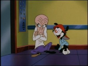 Animaniacs Epizóda 136